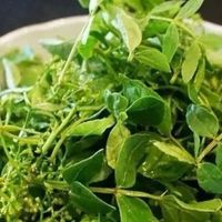 春天各种吃芽，一年之鲜，把绿色吃进肚子里