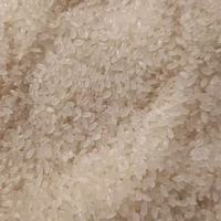 十月稻田辽河长粒香米5kg｜全家爱吃的东北粳米天花板✨