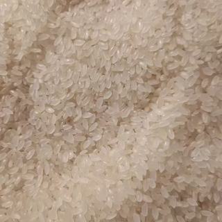 十月稻田辽河长粒香米5kg｜全家爱吃的东北粳米天花板✨
