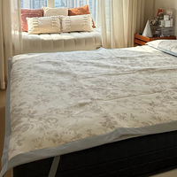 2026 新款 A 类冰藤席冰丝凉席床垫三件套｜可机洗空调软席子推荐