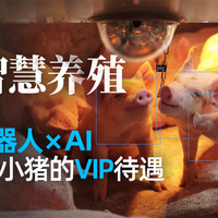 和AI一起养猪，是怎样一种体验——探访中粮家佳康智慧养殖场