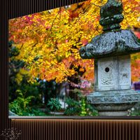 电视品牌 篇零：高端电视推荐里的自我取悦哲学，给独居生活家的“私人影院”