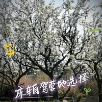 #床车自驾 #露营地 #一个人的旅行