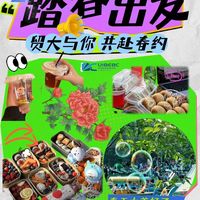 春日野餐指南:城市公园与近郊湖畔