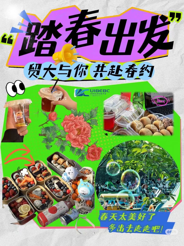 春日野餐指南：城市公园与近郊湖畔