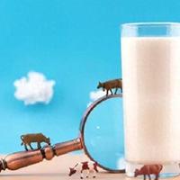 家长注意！这些全是“假牛奶”，别再整箱往家搬，坑娃又花钱