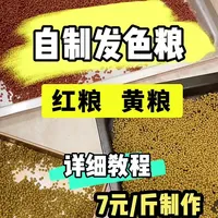 乌龟发色粮自制DIY 养龟小技巧#龟龟🐢 #龟 #龟宠时代 #龟宠 #养龟日常