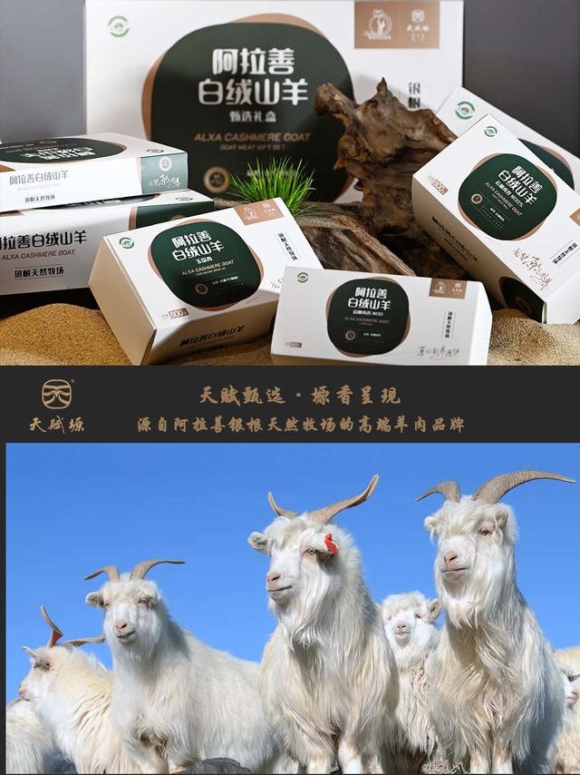 天赋塬·阿拉善白绒山羊肉——商务宴请甄选食材