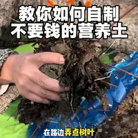 营养土不用买，可可教你如何自制营养土。#营养土 #养花小知识 #花卉绿植 #养花人 #养花