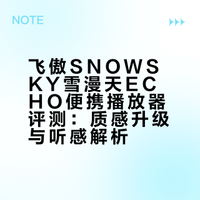 飞傲SNOWSKY雪漫天ECHO便携播放器评测：质感升级与听感解析