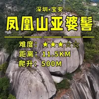 徒步佬狂喜！85%土路覆盖的路线！#深圳户外 #深圳徒步 #深圳凤凰山 #亚婆髻 #越野跑