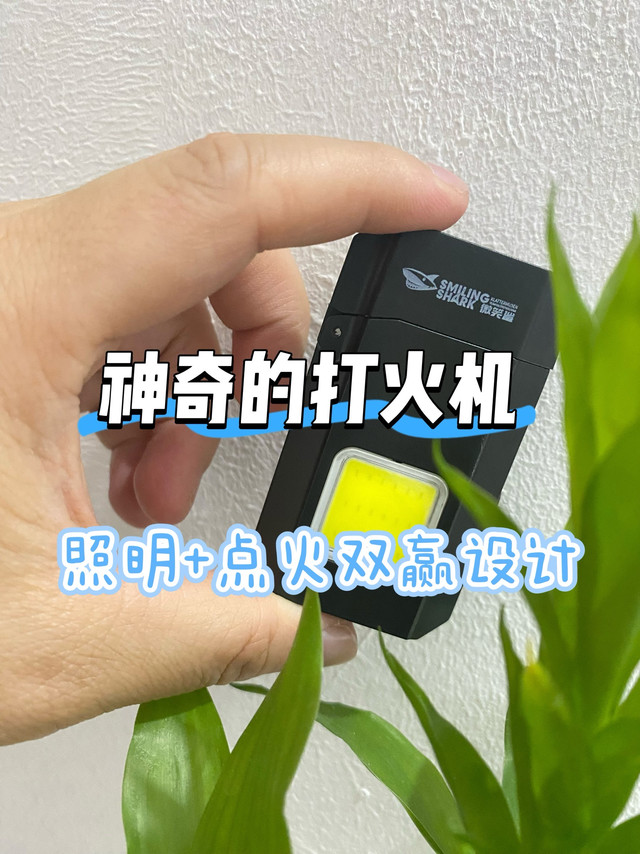 口袋打火机，我只认这个！