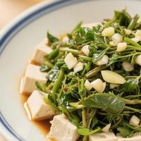 春日经典:香椿豆腐,一口清鲜入春心