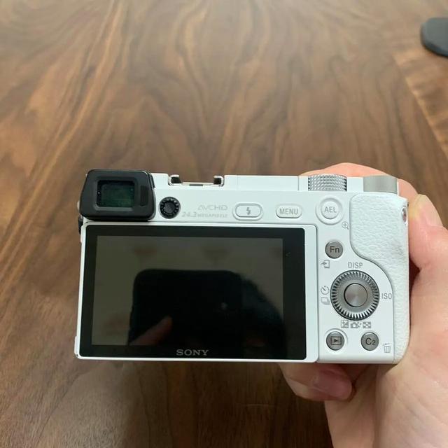 闲鱼捡漏老相机，拍照意外很出片