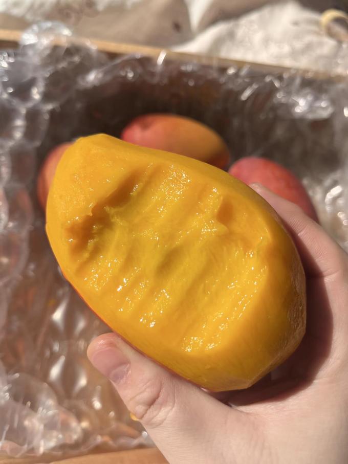 欢乐果园芒果