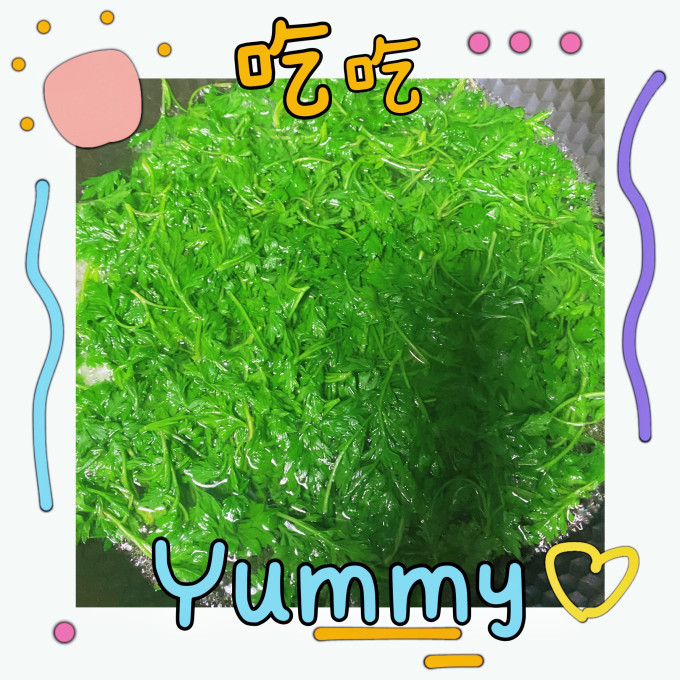 烘焙食品