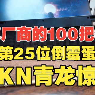 【拆键盘】全新结构-颜值-手感-声音我都要【SKN惊碳】