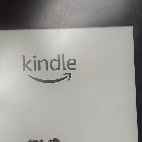 闲鱼 350 块捡了台 KPW4，这漏到底算不算大？