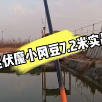佳钓尼伏魔小冈豆7.2米实战测试。