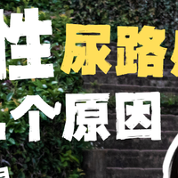 尿路感染不要硬抗！热淋清颗粒为何一味药能缓解？