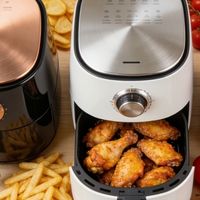 2026爆款空气炸锅哪个牌子好？十大主流综合品牌排行榜深度解析！