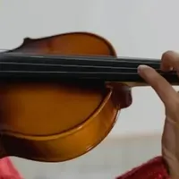 初学者小提琴选购 篇零：初学者别再瞎买了！看懂这5点，轻松选到适合你的第一把小提琴！