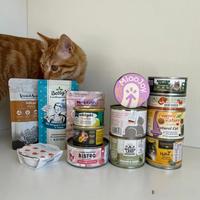 冻干不是不能喂，但干喂等于慢性脱水——德文卷毛猫主食避坑指南