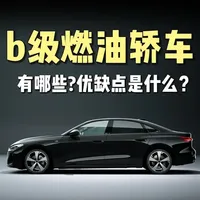 汽车知识：到底有哪些b级燃油轿车，各自都有哪些亮点与槽点？ 如果要选一辆能够长期供家庭使用的轿车，那入手一辆b级纯燃油轿车是比较稳妥的。#汽车知识 #青年创作者成长计划 #红旗h5 #迈腾 #b级轿车