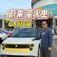 蔚来萤火虫：麻雀虽小五脏俱全。 年轻人通勤代步，蔚来的萤火虫是不是你的菜？好开好停，小巧精致、造型吸睛，带自动泊车，内饰极简高级，仅九千公里，省心又省钱。#蔚来 #萤火虫 #金梁新能源二手车