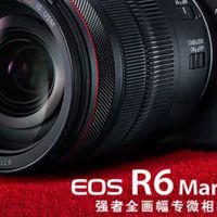 全画幅人像微单实测：佳能 R6M3 与索尼 A7M5 核心性能解析