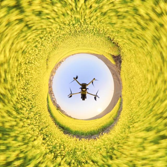 后悔没早看！普通人用Mini/Air无人机拍出封神花海大片的实战攻略