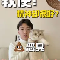 6-10个月猫咪软便、恶臭！但是又没便血，精神也很好，食欲也正常！吃了益生菌也没用！到底怎么回事？#猫咪玻璃胃#养猫经验分享#猫咪软便#新手养猫#养宠进阶指南