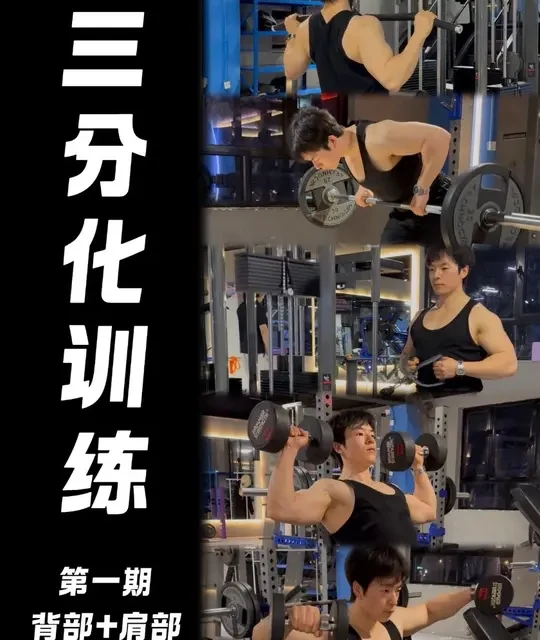 新手一周三分化训练：背部+肩部高效日指南
