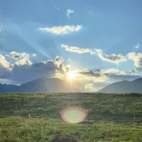 #我的农村生活 #贵州高山荞麦面 #好吃到停不下来 #面条 #家乡的味道