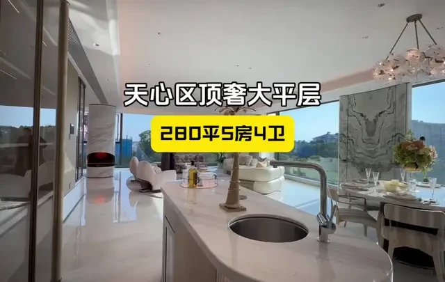 天心区高品质新规大平层，280平，套内使用超300平，三面采光 #长沙买房 #好房推荐 #大平层