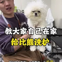 教大家自己在家给小比熊洗澡#养宠知识 #宠物知识 #比熊 #新手养狗 #蒙奇比熊