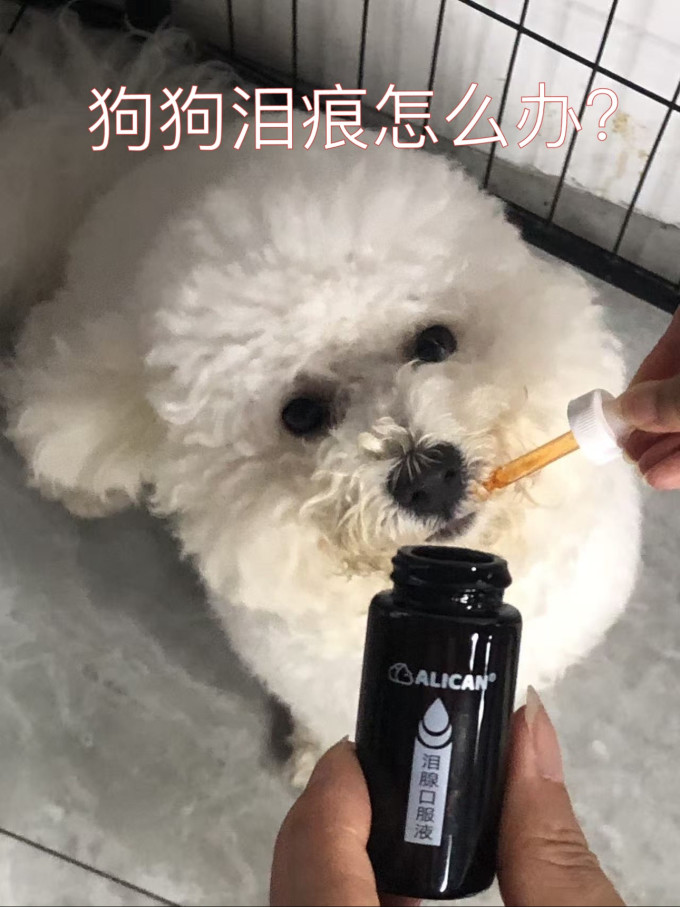 日用清洁