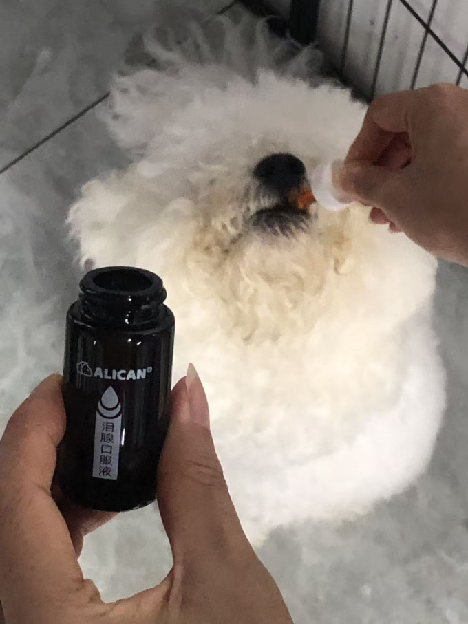 日用清洁