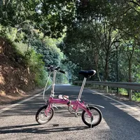 大行412骑行1个月真实感受