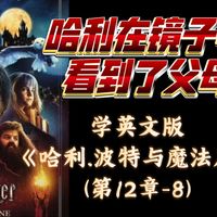 跟我一起学英文版《哈利.波特与魔法石》(第12章-8)