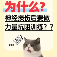 为什么神经损伤后要做力量抗阻训练？