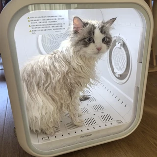 霍曼烘干机长毛猫短毛猫双猫实测