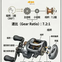 ‼️路亚避坑指南！一分钟看透水滴轮速比