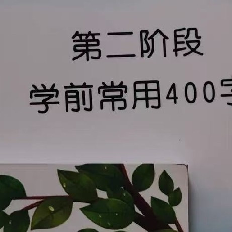 洪恩识字练字帖来袭！1300描红本超系统！