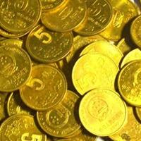 梅花5角硬币收藏攻略:年份分级、品相鉴定与避坑指南