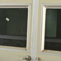 广东英德红茶英红九号，价格详情大揭秘