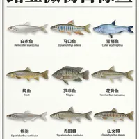 微物路亚必看！9大常见目标鱼全图鉴🐟