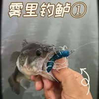 连载鲈钓日记 第一弹 仙气飘飘之铭盛室内火箭鲈 #路亚鲈鱼 #室内鲈鱼 #哈斯达穆萨富士版#哈斯达穆萨富士#东鼎软饵