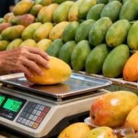 海南五大热门芒果品种特性及选购指南