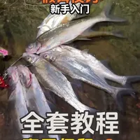 假饵夜钓路亚翘嘴，技巧分享，他来了！学会之后想空军都难#路亚技巧 #路亚标点 #根钓